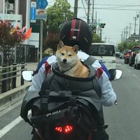 タキタ (@qurulium) 's Twitter Profile Photo