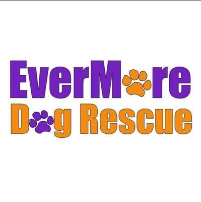 EverMore Dog Rescue