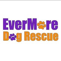 EverMore Dog Rescue (@evermoredog) 's Twitter Profile Photo EverMore Dog Rescue (@evermoredog) 's Twitter Profile Photo