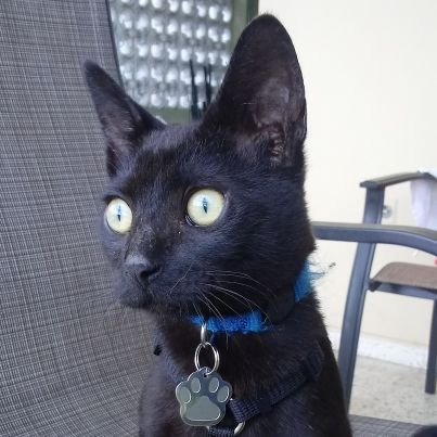 Ros3_River's profile picture. I write what my mind and heart desire... so basically random stuff mostly XD