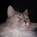 CatWithGeologists (@geologistscat) Twitter profile photo CatWithGeologists (@geologistscat) Twitter profile photo