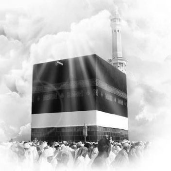 Pilgrimage_2019's profile picture. World peace patron