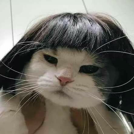 Lucia40931068's profile picture. 