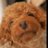 naomin0323's profile image