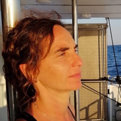 lacomellas's profile picture. cap de l'Àrea de Gestió del Coneixement del SOC