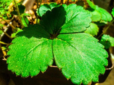 jeffers34635317's profile picture. 