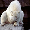 Leonardo Varela ♈ - @Lion3m - Twitter