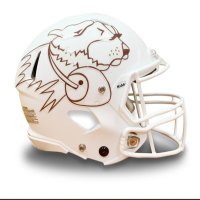 Fighting Saints Football (@usfsaintsfb) 's Twitter Profile