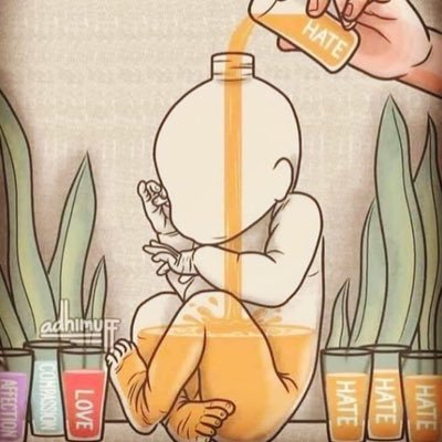 radi818's profile picture. 