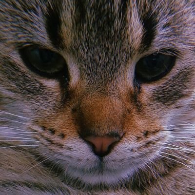 Ana09546174's profile picture. isus!