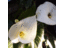 territoriopleno's profile image