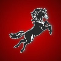 Liberty Memorial Central Middle School - USD497 (@lmcentralmiddle) 's Twitter Profile