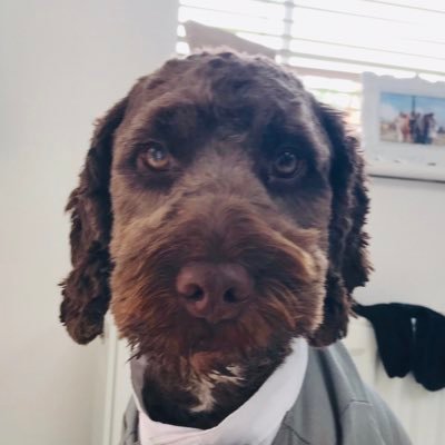 Hi I’m Ned the NEAT reading dog. I love making a difference to our community of schools.
