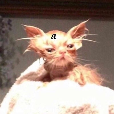 ChloeAshTF87's profile picture. 