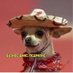 синий ГУльФик (@vanderfred) Twitter profile photo синий ГУльФик (@vanderfred) Twitter profile photo