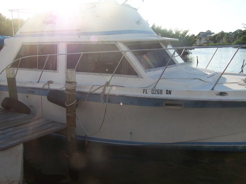 greatestwebsite's profile picture. 