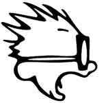 eliwillaert's profile picture. 