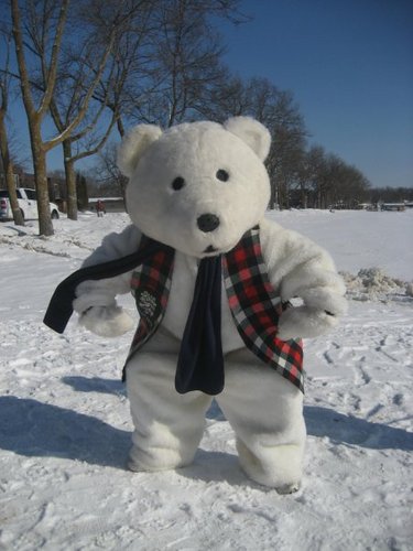 I am the official mascot of Polar Fest in Detroit Lakes, Minnesota.
February 4 thru February 15, 2021