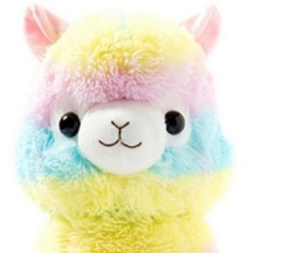 LhamaPelucia's profile picture. 