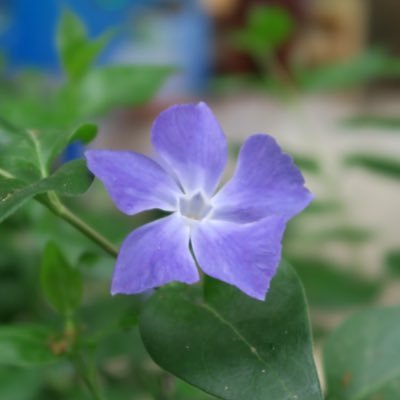 al_06162's profile picture. 