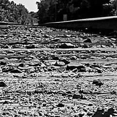 Newton369T's profile picture. I am me