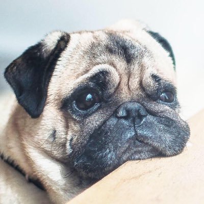 TM4pZeEqJSFcCK6's profile picture. 