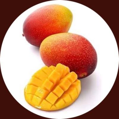 @mango_otsudao4の大学垢(本物) TUS 1AB (葛飾奇数) 本家→ @mango_otsudenai