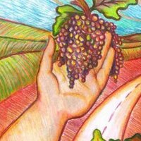 Small Lot Wine Tours (@smallotwinetour) 's Twitter Profile