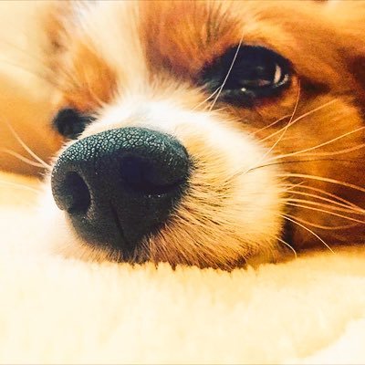 t_pggrbsbgcpn's profile picture. 