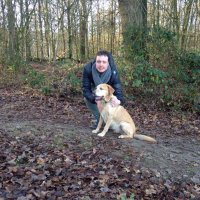 Bart Frenken (@bartfrenken) 's Twitter Profile