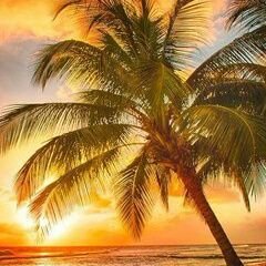 life is short, memories are long...
forget mistakes, just remember the lessons..