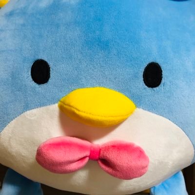 春乃 ぴめこ。さんのプロフィール画像