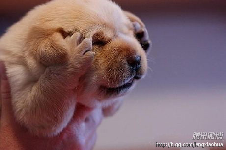 yezizhu0311's profile picture. 做过航运，做过电子产品的外贸，美剧迷，户外迷