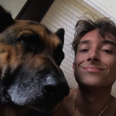 joedelmauro's profile picture. scro