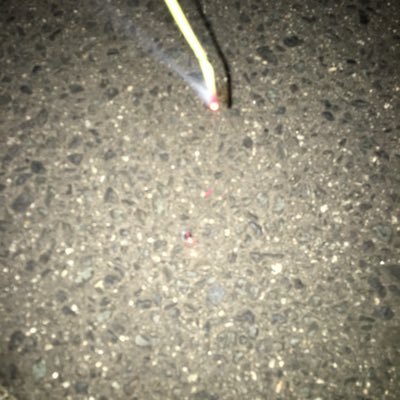 9e3VVcs4E6MIVY2's profile picture. 病む時しばしば