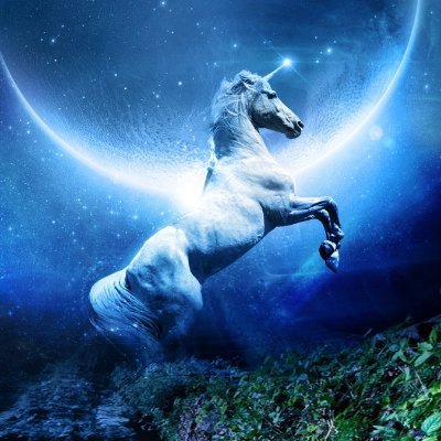 Unicorn79172487 Profile Picture