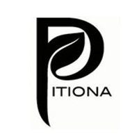 Pitiona (@pitionaoax) 's Twitter Profile
