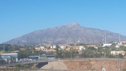 Jardinero, malagueta y globero