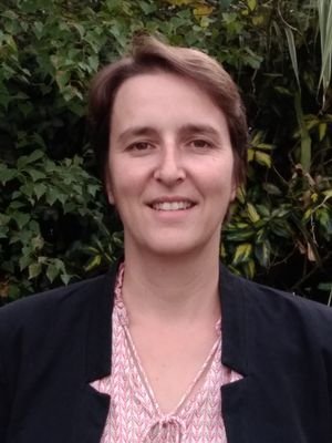 Professor, inorganic and materials chemistry, solid state NMR, Bordeaux university.