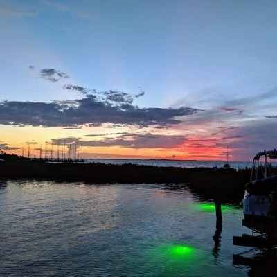 pedrodvm's profile picture. Dad of 3, Southernmost Veterinary Internist 🐾
Born & raised 🇵🇷
'I want to build something that's gonna outlive me!'