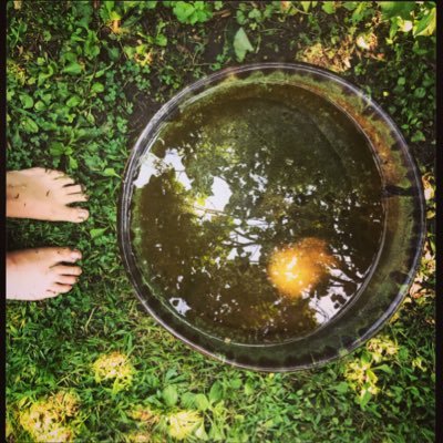 kathydouglas's profile picture. tweets my own: poet/human #mfa #environmentalist #careerdevelopment pro in academia #foundpoetry #amwriting #amreading #WritingCommunity