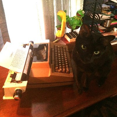 mslucieande's profile picture. Official Twitter account for Lucie Ande, author of the Wiltshire University Series