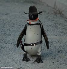 spudlife2010's profile picture. imma rootn and tootn