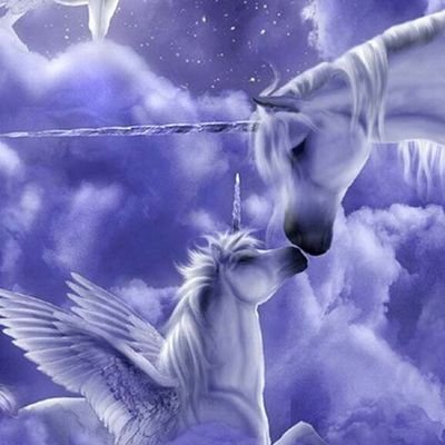 145bookreader's profile picture. a highly opiniated person,INFP.