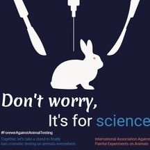 It is important to stand up for what you believe is right. Continuing to stay quiet or join a local organization to end this cruelty once and for all!