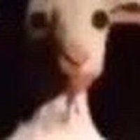 Nxmb (@nxmbxii) 's Twitter Profile