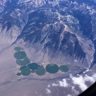 PhoenixRLL's profile picture. CAVEAT EMPTOR!