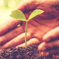 jim gray 💜 (@_jim_gray_) 's Twitter Profile