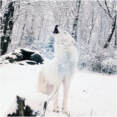 Tayylor20's profile picture. When someone says I'm fine, they're actually saying I need help, but I'm afraid to ask.