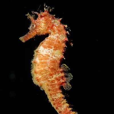 AZain29's profile picture. 2D Cad & 3D Artist